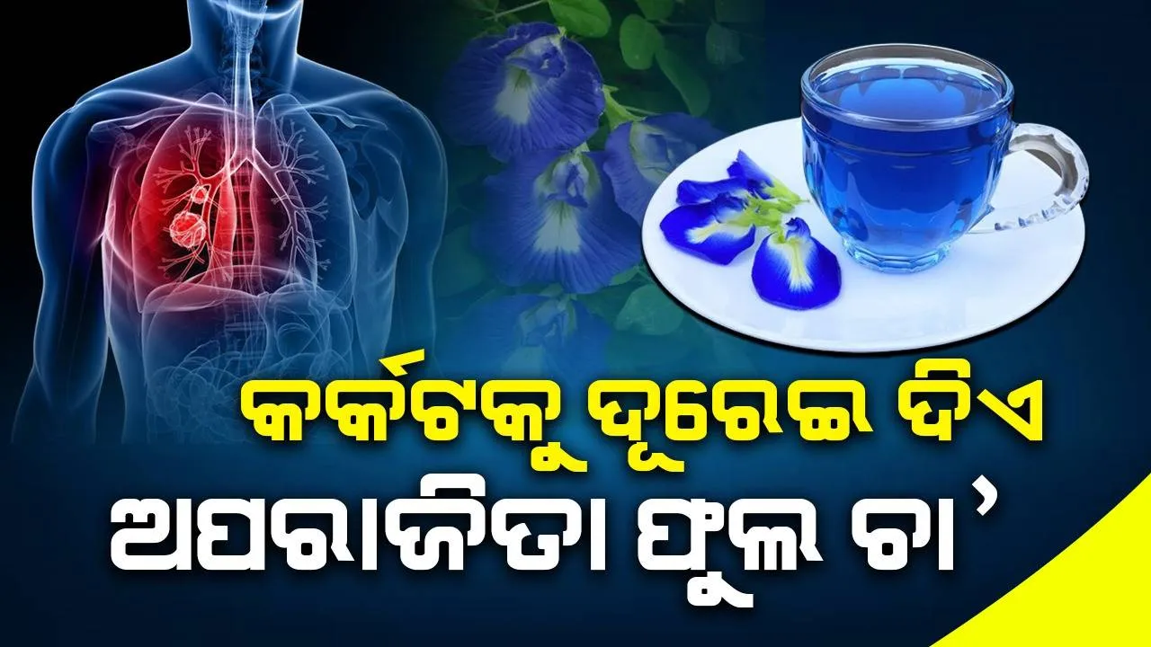  ଅପରାଜିତା ଫୁଲର ଚା’ରେ ରହିଛି ଭର୍‌ପୂର ଆଣ୍ଟିଅକ୍ସିଡାଣ୍ଟ୍‌; କର୍କଟକୁ ଦୂ‌ରେଇ ଦିଏ, ଇନସୁଲିନ୍ ସନ୍ତୁଳନ ବଜାୟ ରଖେ