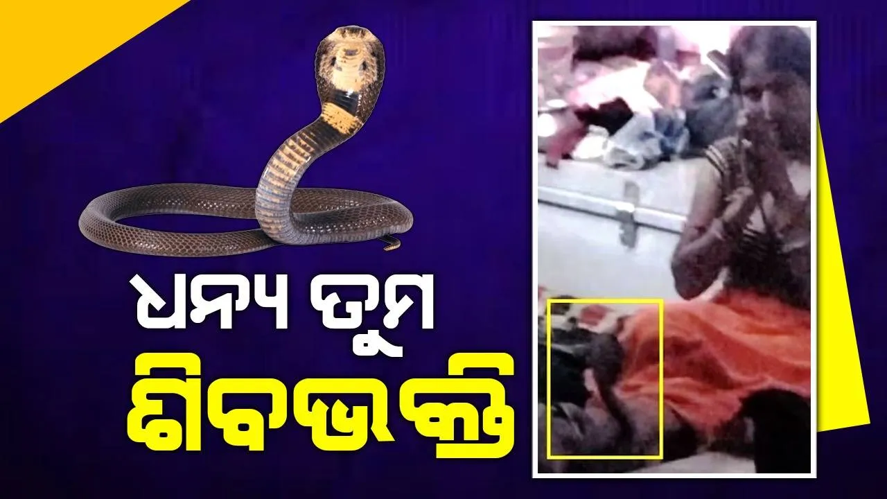  ଶିବଙ୍କ ପୂଜା କରୁଥିବା ବେଳେ ଠାକୁର ଘରକୁ ପଶି ଆସିଲା ନାଗସାପ, ମହିଳାଙ୍କ ଗୋଡ଼ରେ ୩ଘଣ୍ଟା ଗୁଡ଼ାଇ ହୋଇ ରହିଥିଲା