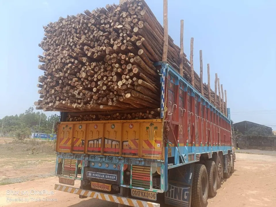  ଇଉକାଲିପଟାସ କାଠ ଚାଲାଣର ହବ୍ ପାଲଟିଛି ଜୟପୁର: ଯାଉଛି ଆନ୍ଧ୍ର, ତେଲେଙ୍ଗାନା ସହ ମହାରାଷ୍ଟ୍ର,ଗୁଜରାଟ ଓ ଛତିଶଗଡ଼
