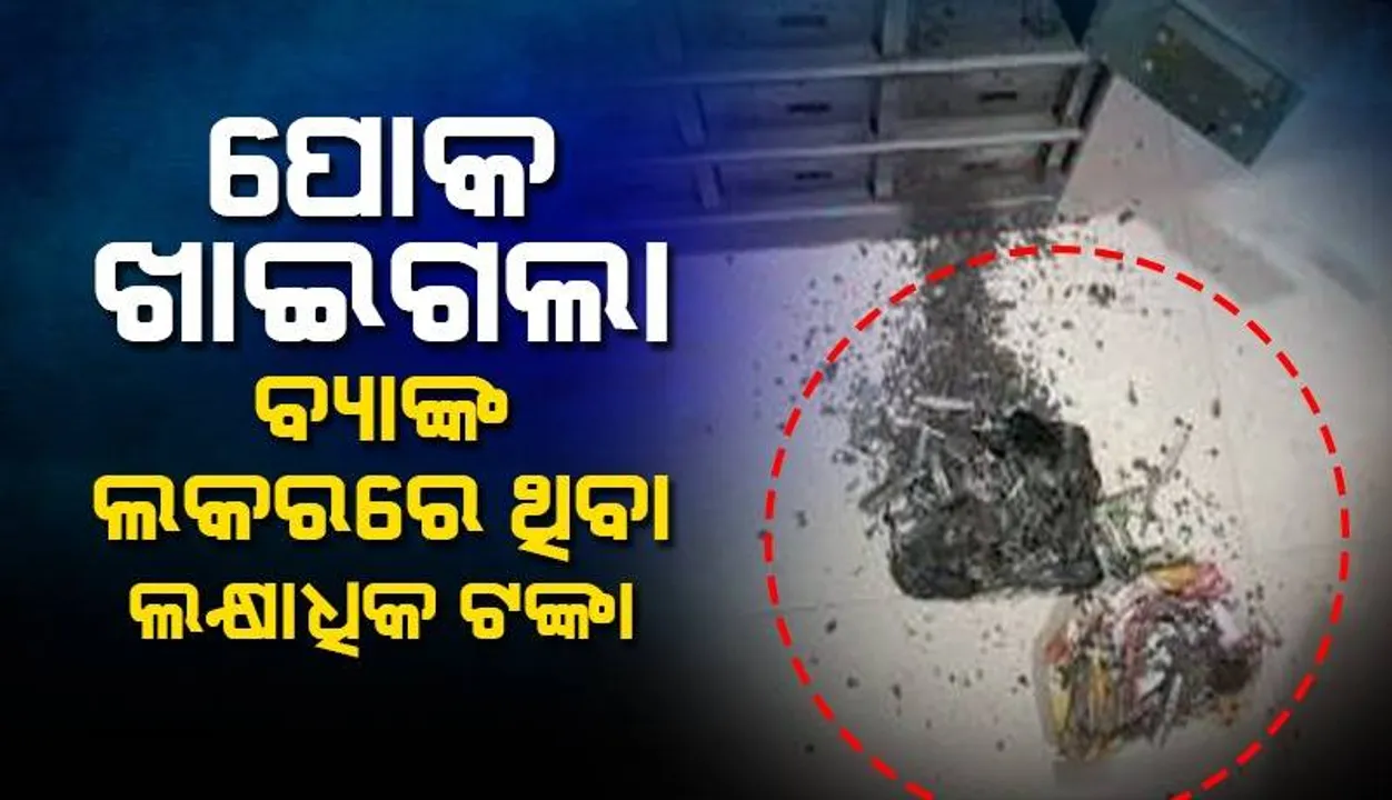  ବ୍ୟାଙ୍କ ଲକରରେ ରଖିଥିବା ୧୮ ଲକ୍ଷ ଟଙ୍କାକୁ ଖାଇଗଲା ପୋକ; କାନ୍ଦିକାନ୍ଦି ଚେତା ହରାଇ ଦେଉଛନ୍ତି ଗ୍ରାହକ