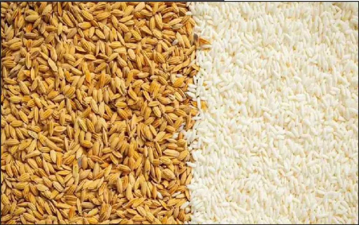  ଗହମର ଷ୍ଟକ ସୀମା ନିର୍ଧାରଣ: ଗହମ, ଚାଉଳ, ଚିନି ଉପରେ ନଜର