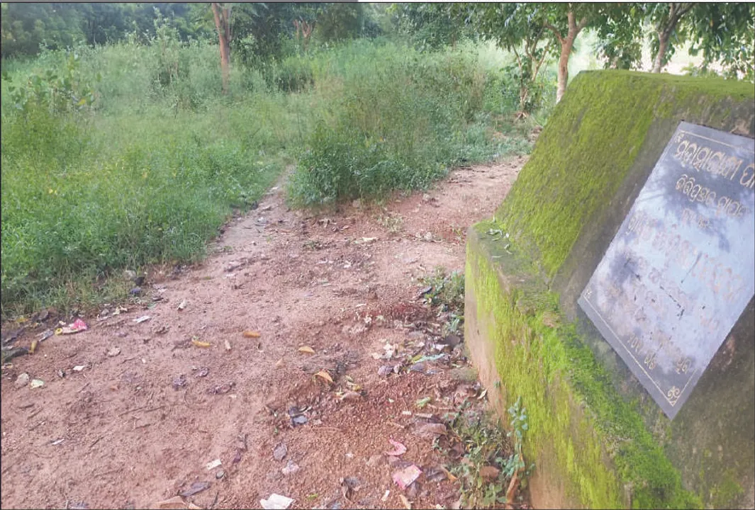  ବିଛୁଆତି ବଣ ପାଲଟିଛି ପ୍ରସ୍ତାବିତ ଗାନ୍ଧୀ ପାର୍କ: ହଜିଗଲା ୧୦ ଲକ୍ଷର ହିସାବପତ୍ର