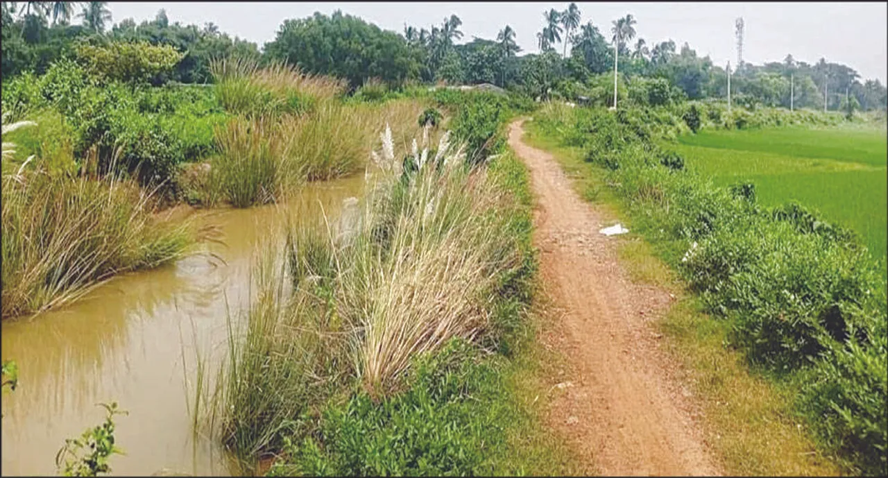  ବଣବୁଦାରେ ପୂର୍ଣ୍ଣ ବେତେଣ୍ଡା-ଆଣ୍ଠୁଆରି ମାଇନର ରାସ୍ତା