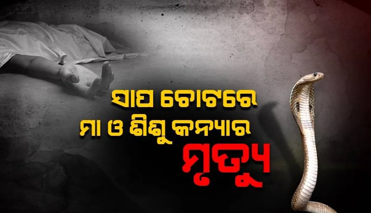  ସର୍ପଦଂଶନ ନେଲା ଦୁଇ ଜୀବନ: ସାପ ଚୋଟରେ ମା ଓ ୨ ବର୍ଷର ଶିଶୁ କନ୍ୟା ମୃତ