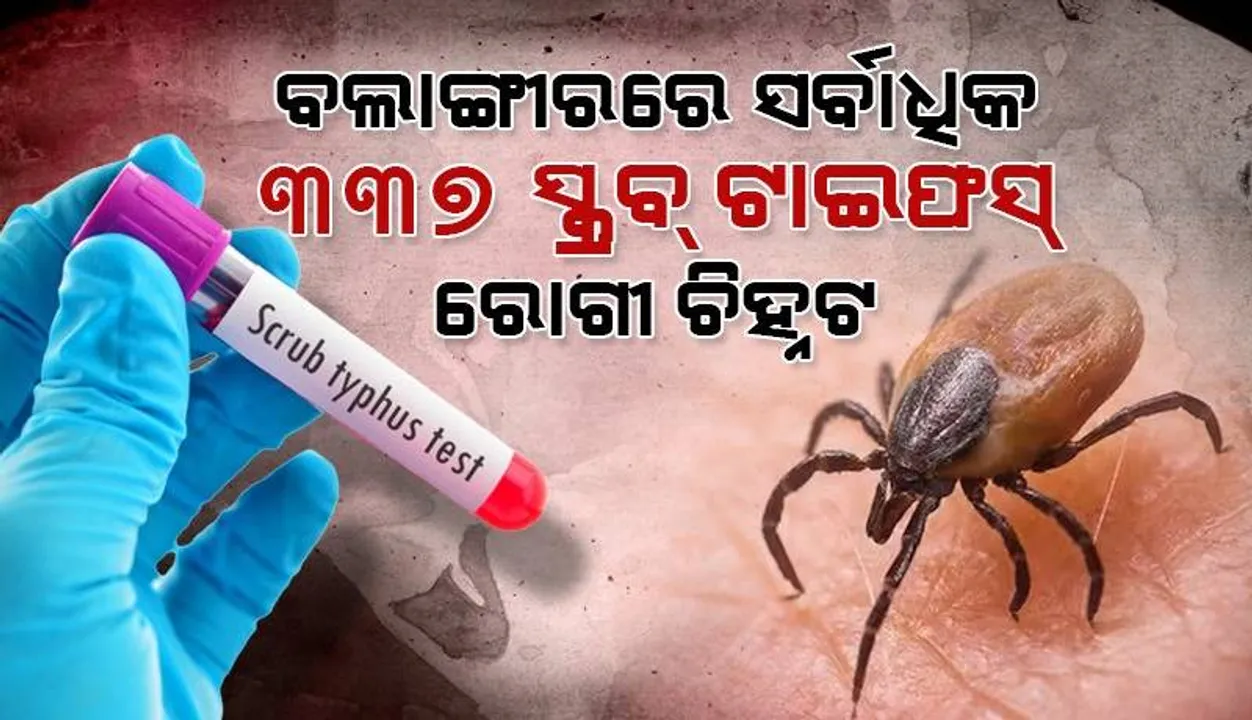  ସୁନ୍ଦରଗଡ଼ ପରେ ବଲାଙ୍ଗୀର: ଜିଲ୍ଲାରେ ଦୁଇ ମାସ ଭିତରେ ମୋଟ୍ ୩୩୭ ସ୍କ୍ରବ୍ ଟାଇଫସ୍‌ ରୋଗୀ ଚିହ୍ନଟ