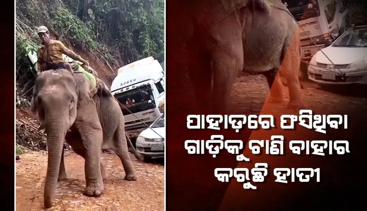  ଫସିଥିବା କାରକୁ ପାହାଡ଼ ଭିତରୁ ଟାଣିଟାଣି ବାହାର କରୁଛି ହାତୀ