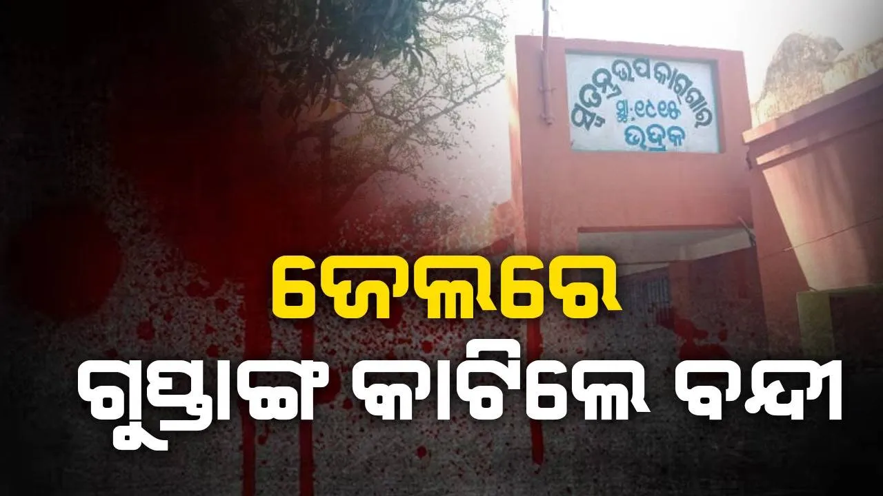  ମାନସିକ ଭାରସାମ୍ୟ ହରାଇ ବ୍ଲେଡରେ ନିଜର ଗୁପ୍ତାଙ୍ଗ କାଟିଲା ବିଚାରାଧୀନ ବନ୍ଦୀ