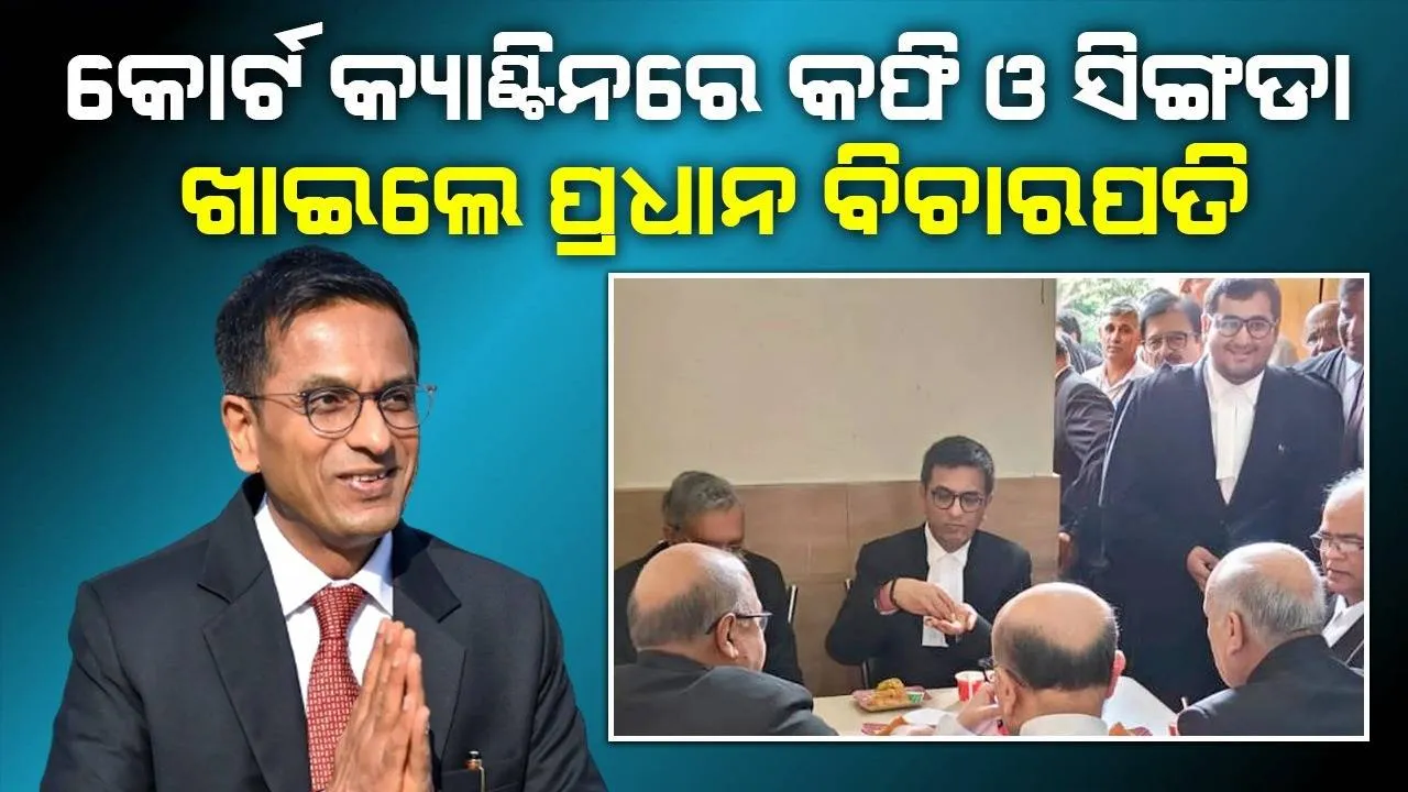  କୋର୍ଟ ପରିସରରେ ସାଥି ବିଚାରପତିଙ୍କ ଗହଣରେ ବୁଲିଲେ ପ୍ରଧାନବିଚାପତି ଚନ୍ଦ୍ରଚୂଡ, ଏକାଠି ବସି କଫି ଓ ସିଙ୍ଗଡ଼ାର ଆନନ୍ଦ ନେଲେ