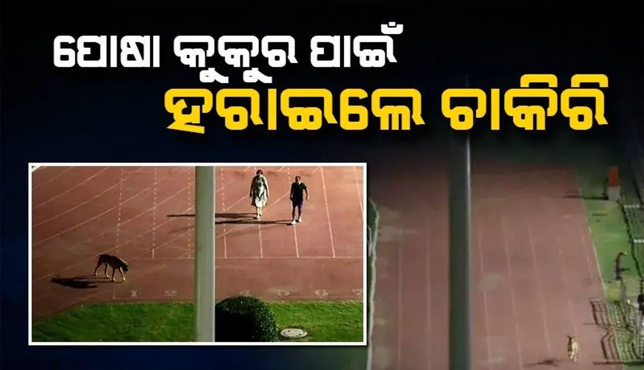  ପୋଷା କୁକୁରକୁ ବୁଲାଇବା ପାଇଁ ଷ୍ଟାଡିୟମ ଖାଲି କରୁଥିଲେ ଆଇଏଏସ୍, ବାଧ୍ୟତାମୂଳକ ଅବସର ଦେଲେ କେନ୍ଦ୍ର ସରକାର