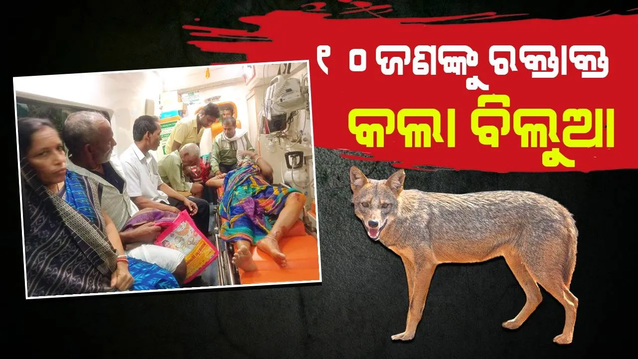  ୧୦ ଜଣ ଲୋକ, ୨୫ ଗୋରୁକୁ କାମୁଡ଼ି ଘାଇଲା କଲା ବିଲୁଆ