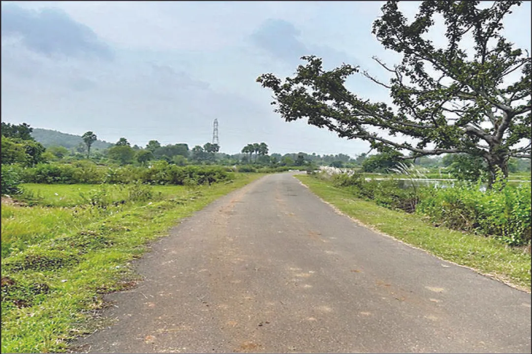  ମିଛ ରିପୋର୍ଟ ଦେଇ ବିଧାନସଭାକୁ ଭୁଆଁ ବୁଲାଯାଉଛି : ବନ ବିଭାଗ ରେକର୍ଡରେ ୮୯୦ ଗଛ, ବଞ୍ଚିଛି ମାତ୍ର ୫୬