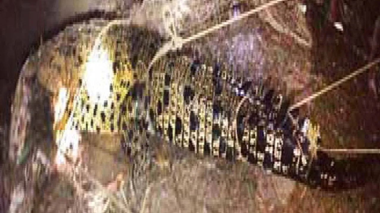  ପୋଖରୀରୁ ଧରା ହେଲା ୧୪ ଫୁଟ୍‌ର କୁମ୍ଭୀର