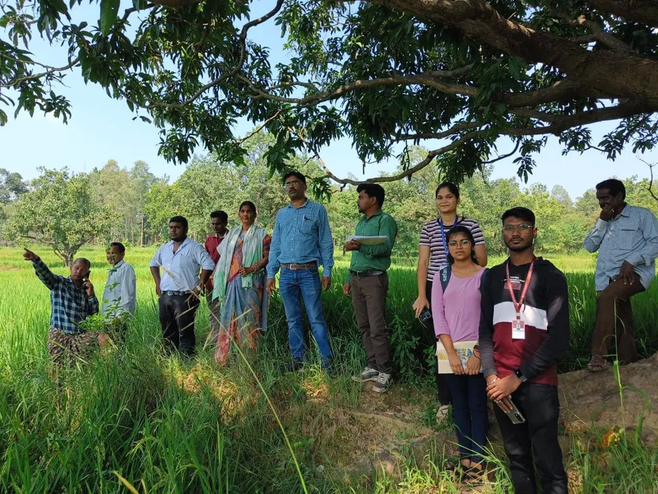  ଦୁଇଶହ ହେକ୍ଟର ଜମିରେ ଚକଡ଼ା ଚରିଗଲେ