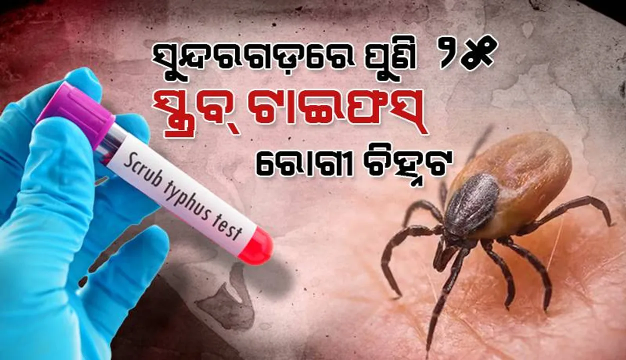  ସୁନ୍ଦରଗଡ଼ ଜିଲ୍ଲାରେ ପୁଣି ୨୫ ସ୍କ୍ରବ ଟାଇଫସ ରୋଗୀ ଚିହ୍ନଟ: ଆକ୍ରାନ୍ତଙ୍କ ସଂଖ୍ୟା ୩୫୫ ଛୁଇଁଲା