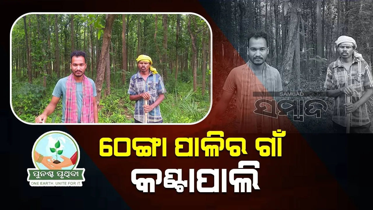  ଘରକୁ ଠେଙ୍ଗା ପହଞ୍ଚିଲେ ଜଙ୍ଗଲ ଜଗିବା ପାଳି ପଡ଼େ