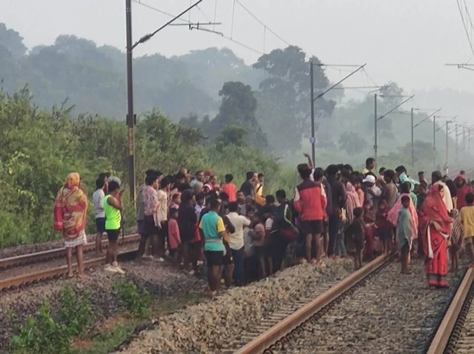  ମାଲବାହୀ ଟ୍ରେନ୍ ଧକ୍କାରେ ହାତୀର ମୃତ୍ୟୁ