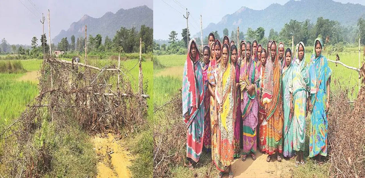  ଢିପିସାହି ଗ୍ରାମକୁ ରାସ୍ତା ନିର୍ମାଣ ନହେବା ଘଟଣା: ଗାଁ ରାସ୍ତାରେ ପଡ଼ିଛି କଣ୍ଟାବାଡ଼