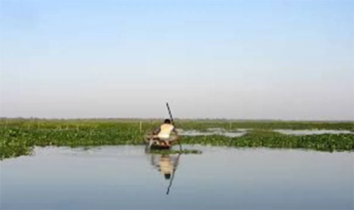  
Earth Journalism Network 