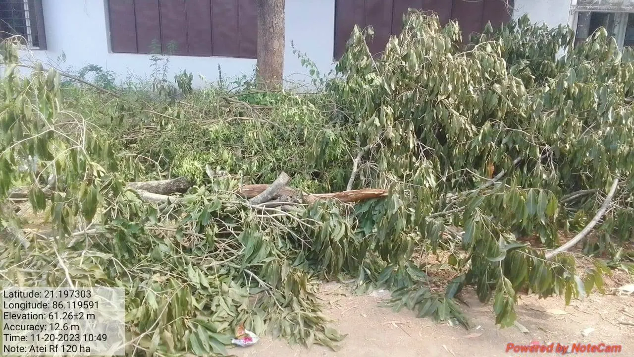  ବାହାରେ ତାଲା, ଭିତରେ ଗଛକଟା: ଆନନ୍ଦପୁର ଆଇଟିଆଇକୁ ନୋଟିସ