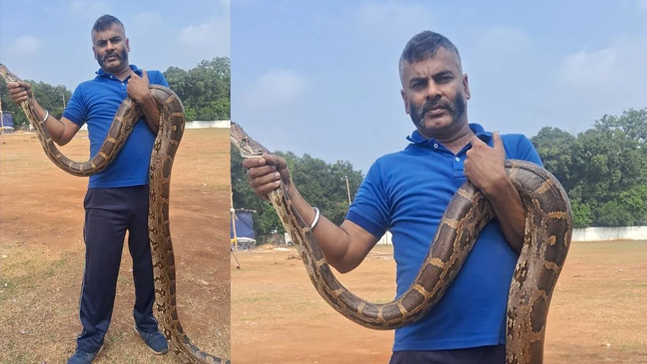  ବୋଲେରୋ ବୋନେଟ୍‌ରେ ୧୨ ଫୁଟର ଅଜଗର