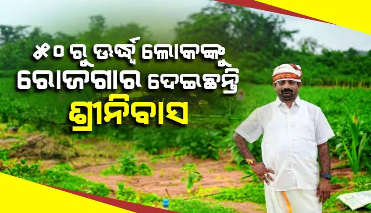  ୫୦ ଏକର ଜମିରେ ପରିବା ଚାଷ କରିଛନ୍ତି ସ୍ବାବଲମ୍ବୀ ଶ୍ରୀନିବାସ, ୫୦ରୁ ଊର୍ଦ୍ଧ୍ବ ଲୋକଙ୍କୁ ଦେଇଛନ୍ତି ରୋଜଗାର