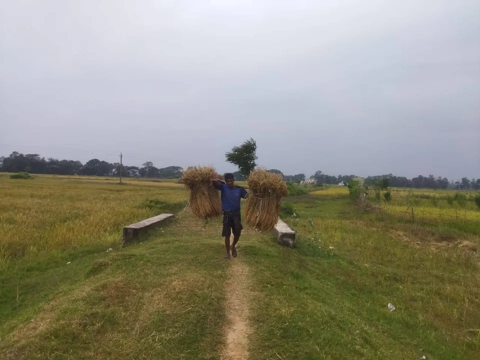  ଆକାଶରେ ମେଘ ଦେଖି ଚାଷୀ ତରତର