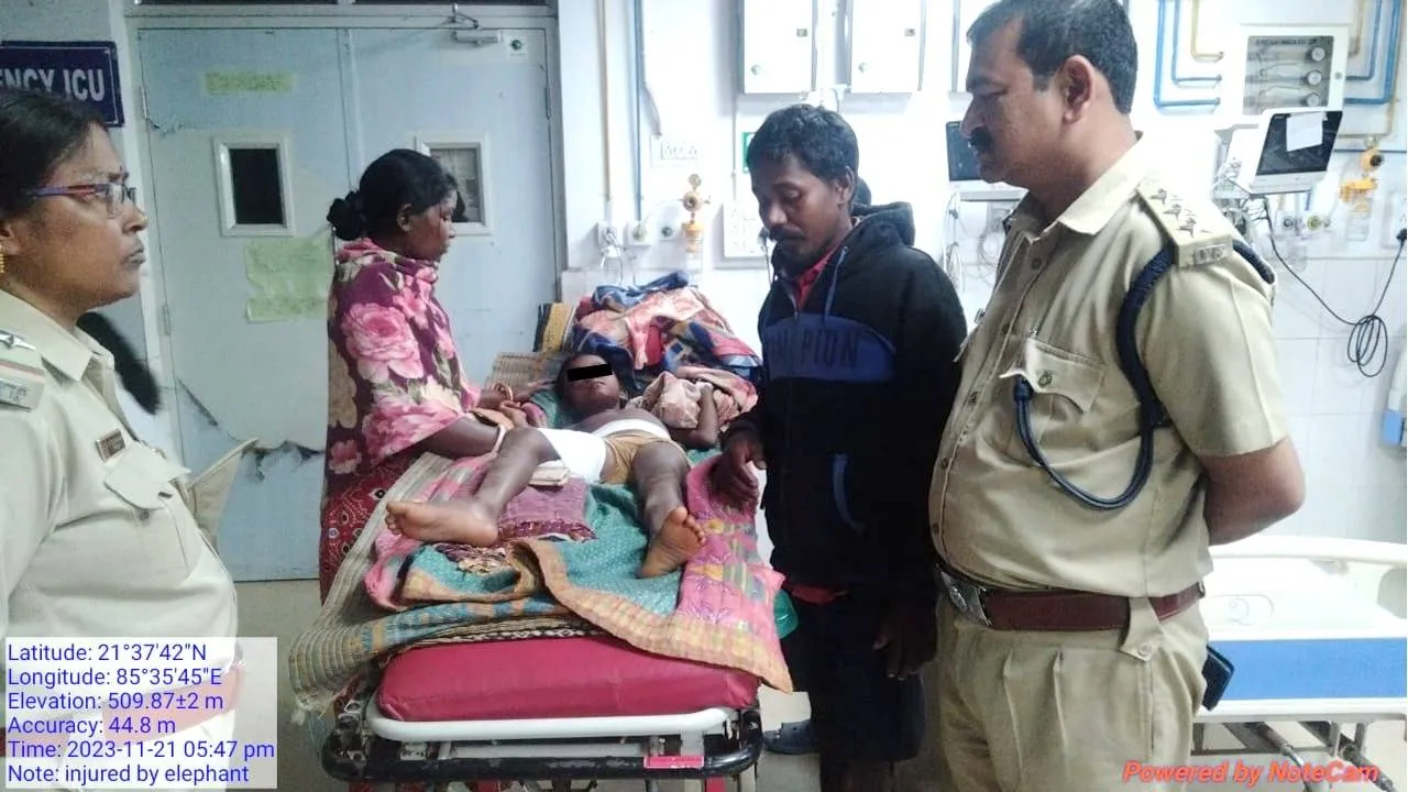  ଗାଧୋଇ ସାରି ଘରକୁ ଫେରିବା ବେଳେ ଆକ୍ରମଣ କଲା ଦନ୍ତା; ବାପା ଓ ନାବାଳିକା ଝିଅ ଗୁରୁତର