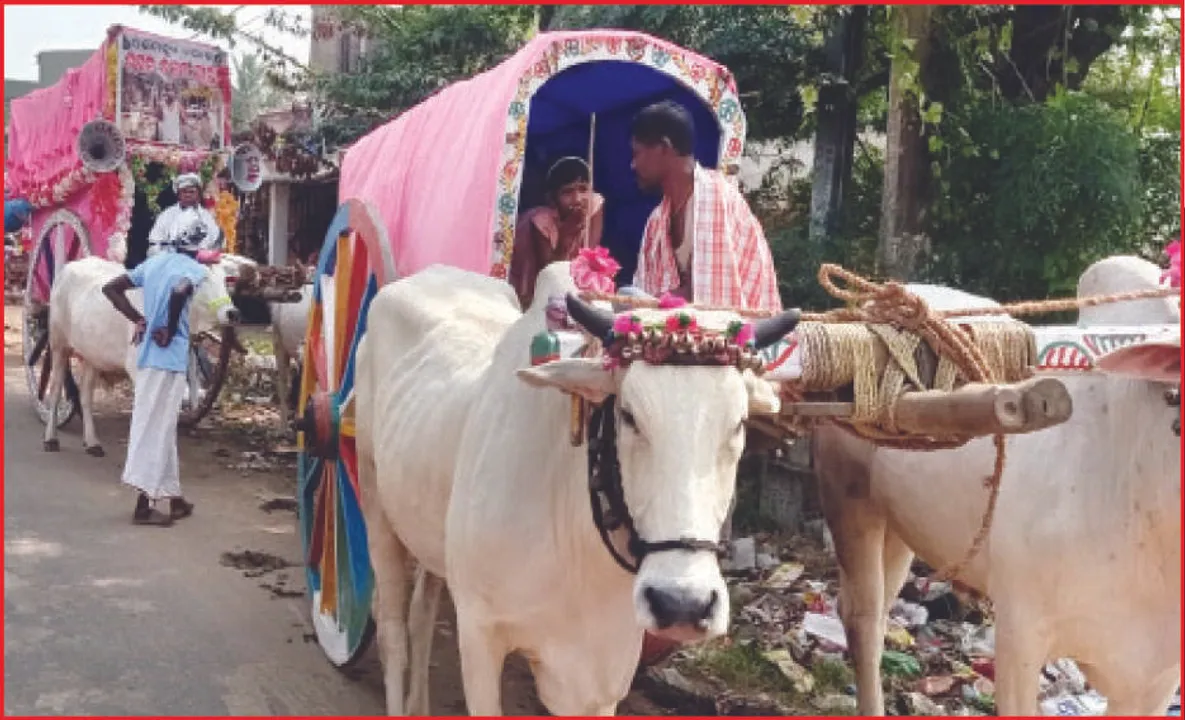  ଅନନ୍ୟ ପରମ୍ପରା: ଜାତୀୟ ରାଜପଥରେ ଶଗଡ଼ ଶୋଭାଯାତ୍ରା