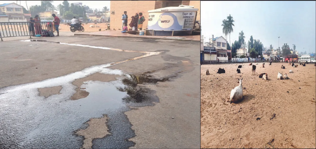  ନଷ୍ଟ ହେଉଛି ଶରଧାବାଲିର ପବିତ୍ରତା: ଲାଗୁନି ସୂଚନା ଫଳକ, ଜାଣିପାରୁନାହାନ୍ତି ଭକ୍ତ