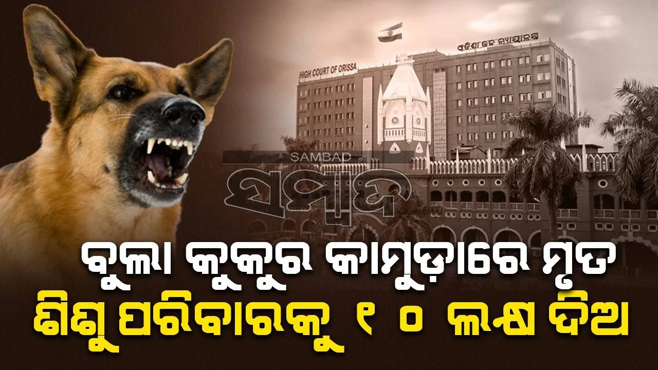  ବୁଲା କୁକୁର କାମୁଡ଼ାରେ ମୃତ ଶିଶୁ ପରିବାରକୁ ୧୦ ଲକ୍ଷ କ୍ଷତିପୂରଣ ଦେବାକୁ ଓଡ଼ିଶା ଉଚ୍ଚ ନ୍ୟାୟାଳୟଙ୍କ ନିର୍ଦ୍ଦେଶ