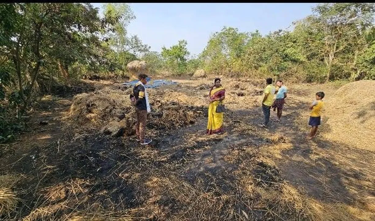  ଧାନଖଳାରେ ଭୟାବହ ଅଗ୍ନିକାଣ୍ଡ: ଚାଷୀଙ୍କ ବ୍ୟାପକ ଫସଲ ନଷ୍ଟ
