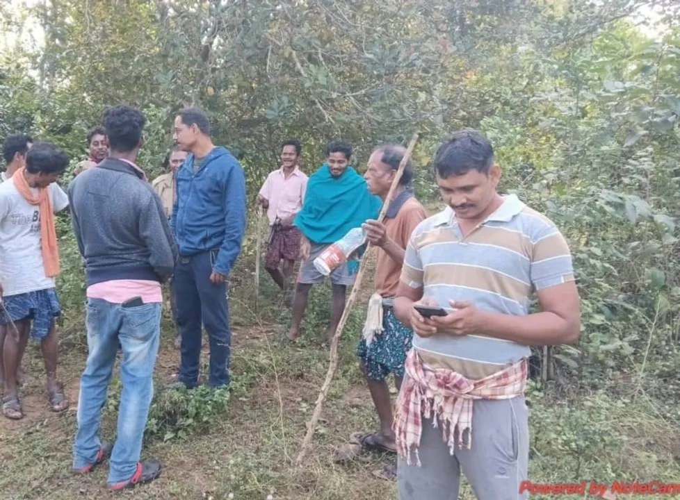  ରାୟଗଡ଼ାରେ ବୁଲୁଛି ବାଘ; ଟେର ପାଉନି ବନ ବିଭାଗ, ଲୋକେ ଆତଙ୍କିତ