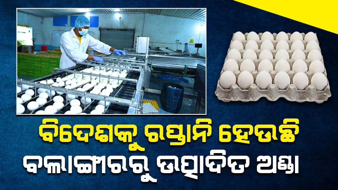  ଅଣ୍ଡା ଉଦ୍ୟୋଗରେ ‘ବ୍ଲକଚେନ୍‌’ ଟେକ୍ନୋଲୋଜି ବ୍ୟବହାର କରିବାରେ ବଲାଙ୍ଗୀରର ‘ଓଭୋ ଫାର୍ମ’ ଦେଶରେ ପ୍ରଥମ