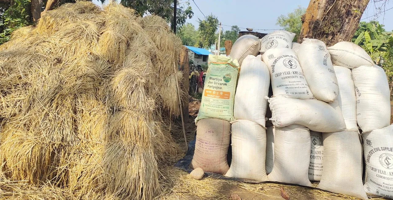  ମଣ୍ଡି ଖୋଲିବା ଆଗରୁ ବୋହିନେଲେ ବେପାରୀ: ସର୍ବାଧିକ ୫୦ କୁଇଣ୍ଟାଲ ଧାନକିଣା ନିୟମକୁ ନେଇ ଅସନ୍ତୋଷ