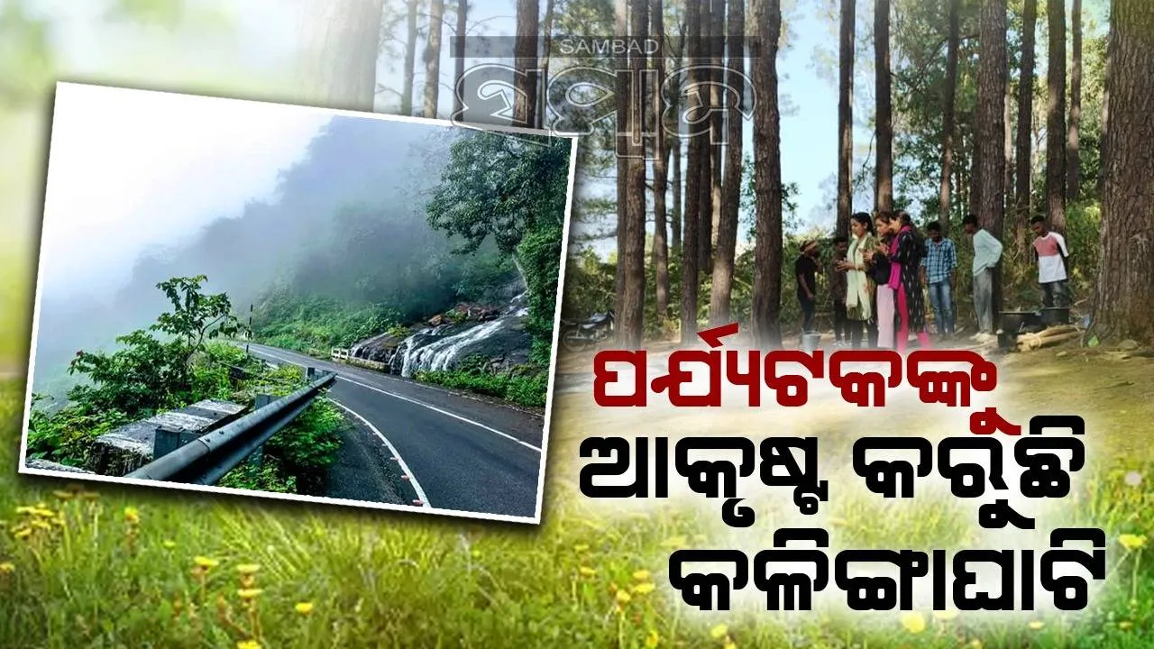  ସରକାରଙ୍କ ଦୃଷ୍ଟି ଆଢୁଆଳରେ ଘୁମୁସର ଉଦୟଗିରିର ପର୍ଯ୍ୟଟନ ଓ ବଣଭୋଜି ସ୍ଥଳ