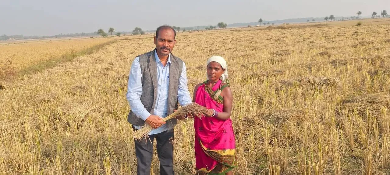  କୋରାପୁଟ ପାଇଁ ଆଉ ଏକ ମାଇଲଷ୍ଟୋନ୍‌; କଳାଜିରା ଧାନକୁ ମିଳିଲା ଜିଆଇ ଟ୍ୟାଗ୍‌