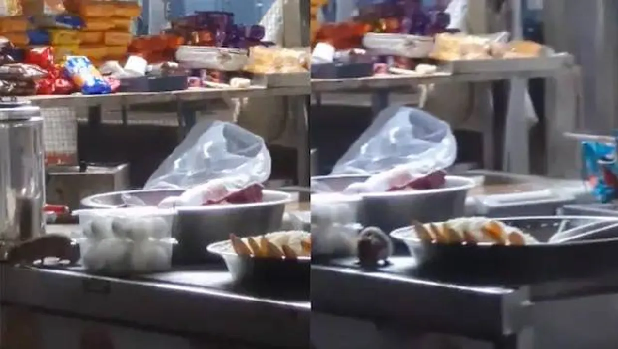  ଆଇଆରସିଟିସିର ଖାଦ୍ୟ ଷ୍ଟଲ ଉପରେ ମୂଷା ବୁଲୁଥିବାର ଭିଡିଓ ଭାଇରାଲ; ରେଲ ଅଧିକାରୀ ଦେଲେ ଏଭଳି ପ୍ରତିକ୍ରିୟା