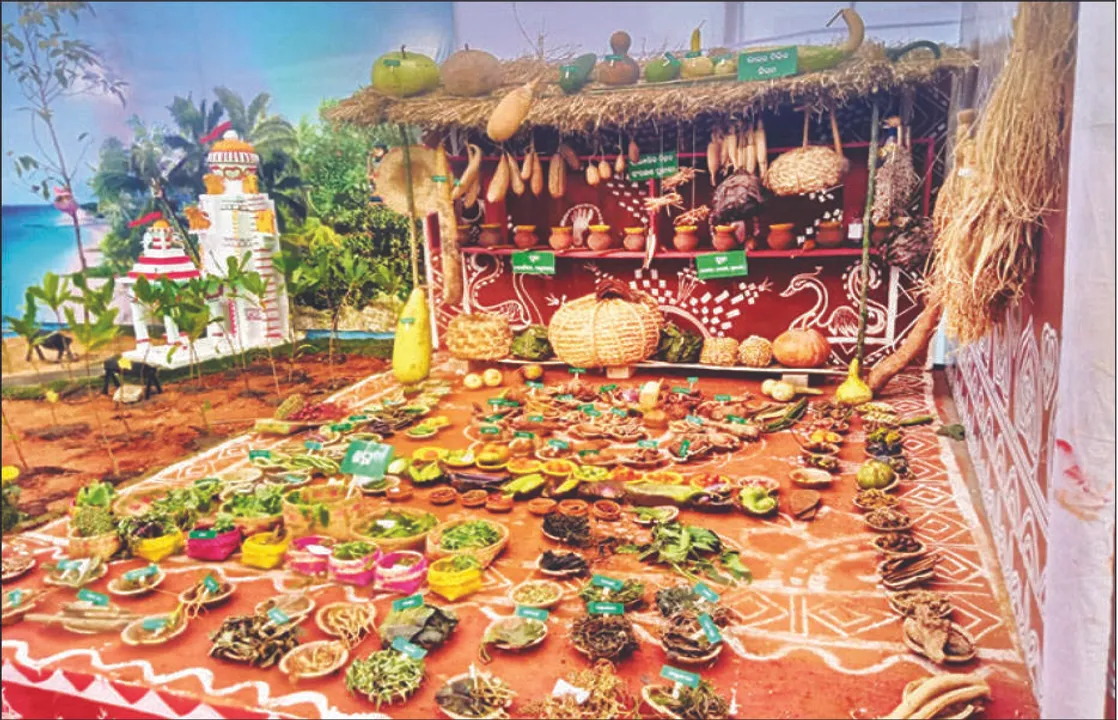  ବିପଦରେ ୬୦୪ କିସମର ବିହନ: ୧୮୫ ପ୍ରକାର ଶାଗର ମଜା ନେଉଥିଲେ ଓଡ଼ିଆ
