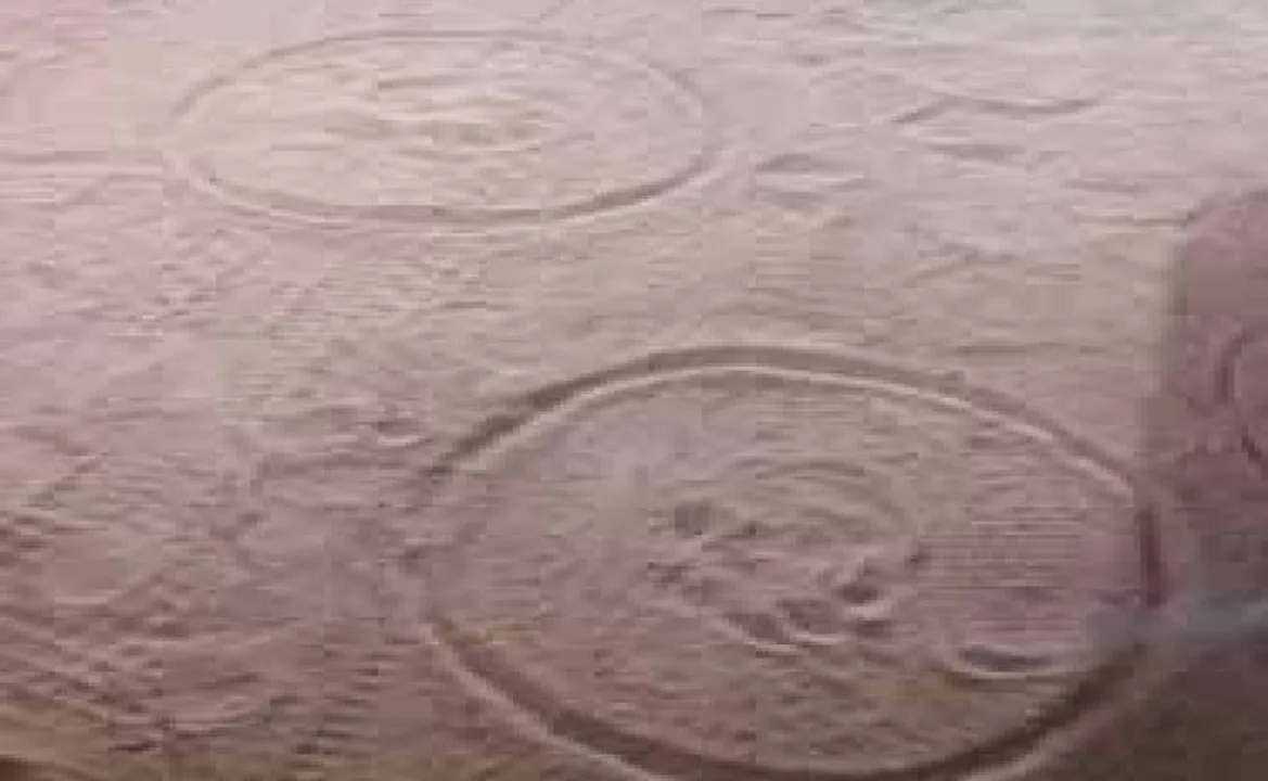  ଲଖନପୁରରେ କଲରାପତରିଆ ଆତଙ୍କ