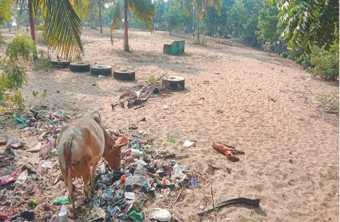  ପ୍ଲାଷ୍ଟିକ୍‌ମୁକ୍ତ ବଣଭୋଜିସ୍ଥଳ ନାମକୁ ମାତ୍ର: ନୋଟିସ୍‌ ହେଲା, ହେଉନି ଅନୁପାଳନ