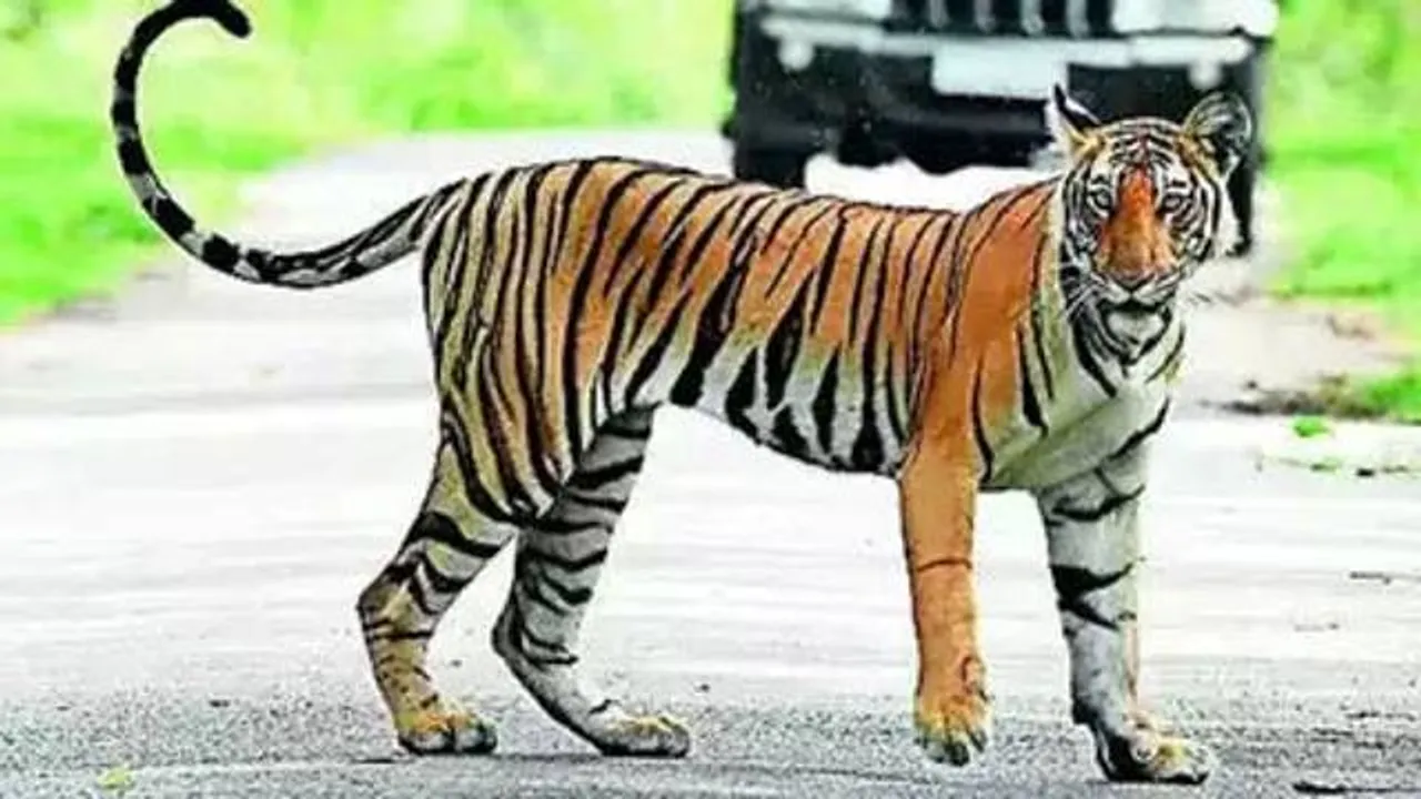  Image Courtesy of Times of India 