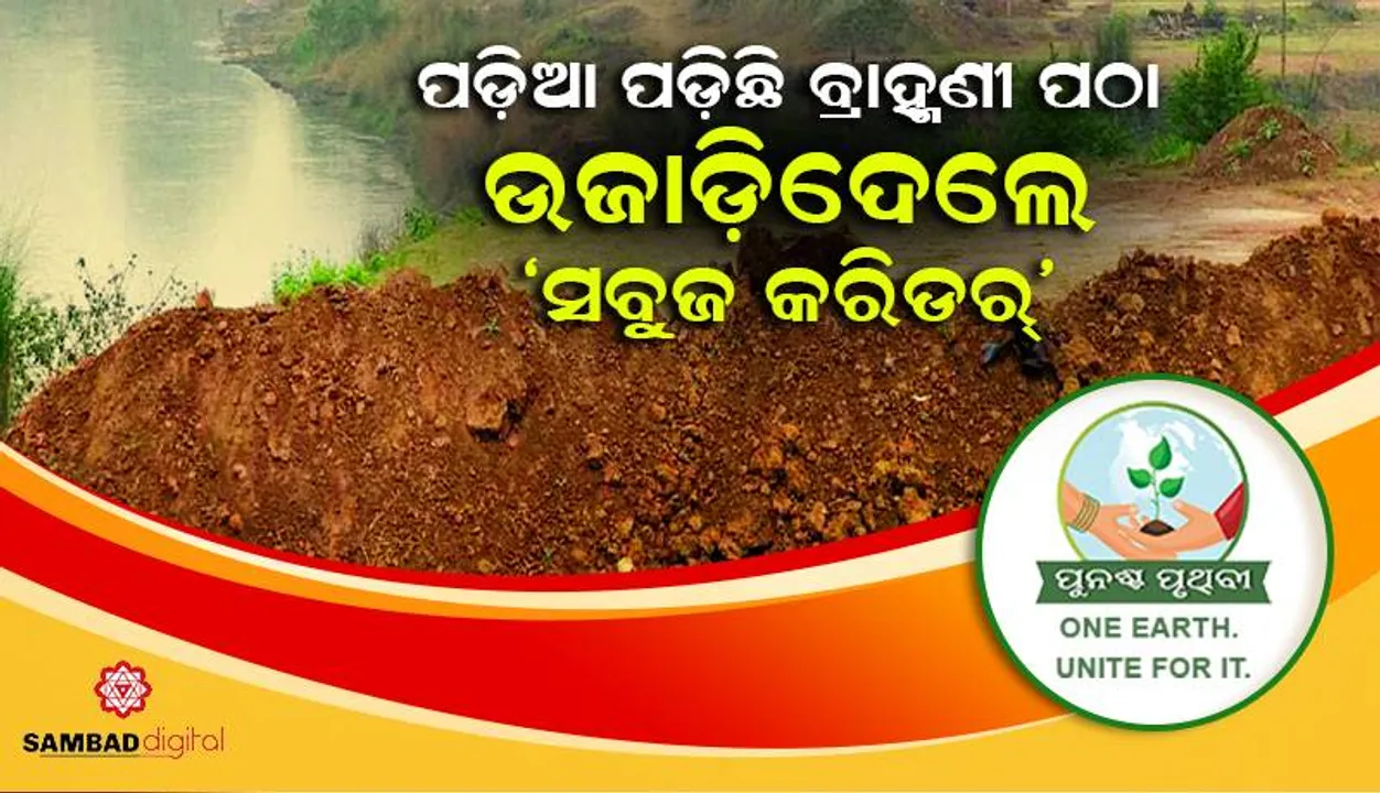  ପଡ଼ିଆ ପଡ଼ିଛି ବ୍ରାହ୍ମଣୀ ପଠା: ଉଜାଡ଼ିଦେଲେ ‘ସବୁଜ କରିଡର୍‌’