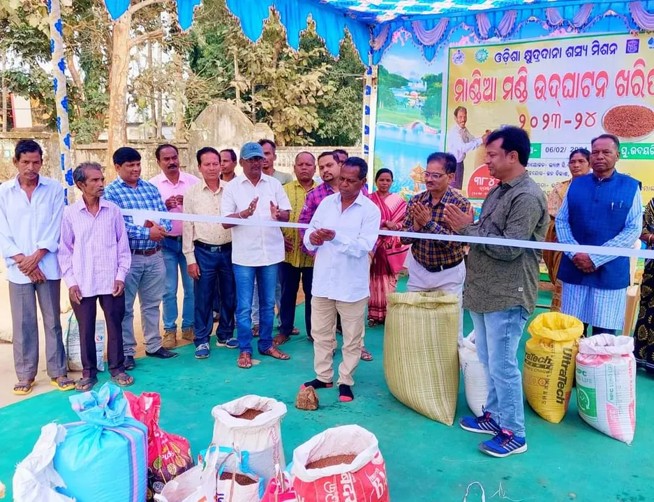  ଲ୍ୟାମ୍ପ ସମବାୟ ସମିତିରେ ମାଣ୍ଡିଆ ମଣ୍ଡି ଉଦ୍‌ଘାଟିତ