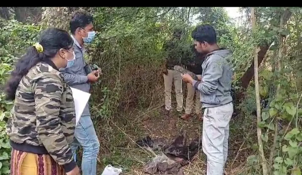  ଭଦ୍ରକ ଆରଏମସି ମାର୍କେଟ୍‌ କମ୍ପ୍ଲେକ୍ସ ରାସ୍ତାକଡ଼ ଅଳିଆ ଗଦାରୁ ବାହାରିଲା ମଣିଷର କଙ୍କାଳ