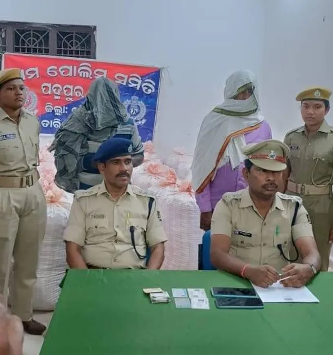  ଅନ୍ତଃରାଜ୍ୟ ଗଂଜେଇ ଚାଲାଣର ପର୍ଦାଫାସ: ନଡ଼ିଆ ବୋଝେଇ ଟ୍ରକ୍‌ରୁ ୧୩୬୫ କିଲୋ ଗଂଜେଇ ଜବତ, ୨ ଗିରଫ