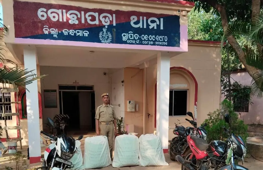  ଚାଲାଣ ପୂର୍ବରୁ କ୍ବିଣ୍ଟାଲେ ଗଞ୍ଜେଇ ଜବତ