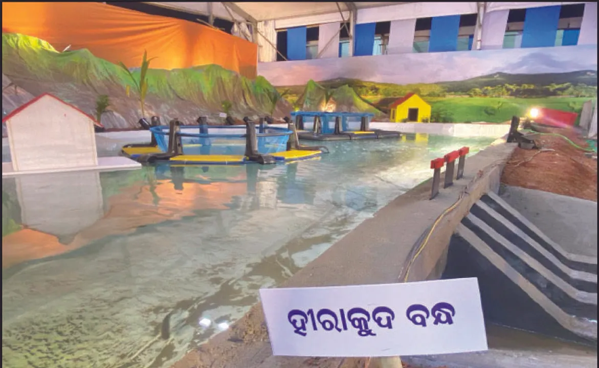  ଅନ୍ତର୍ଜାତୀୟ ବଜାରକୁ ଯିବ ହୀରାକୁଦ ମାଛ: ଏବେ ଭୁବନେଶ୍ବର, କଲିକତା, ରାୟପୁର ଯାଉଛି