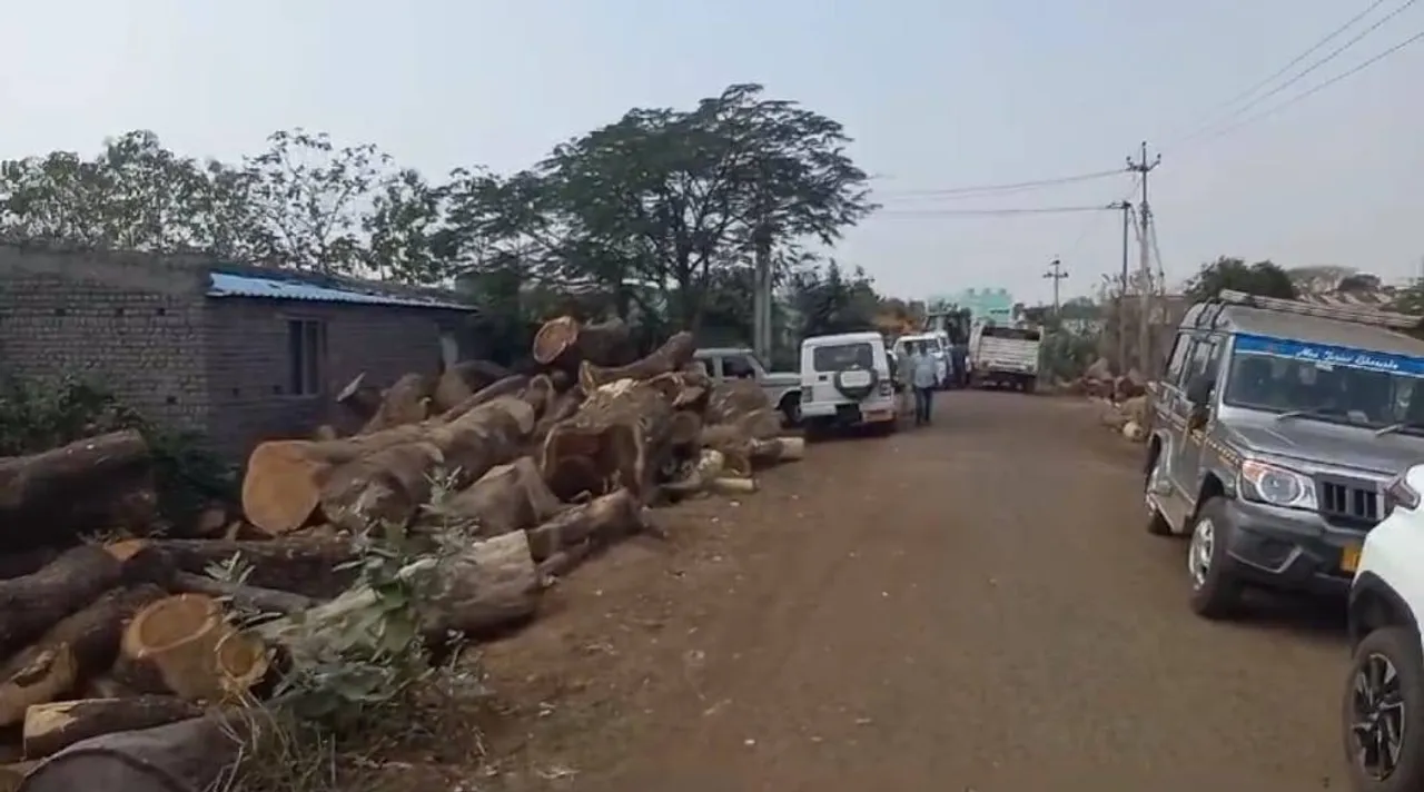  କରତକଳ ଉପରେ ଚଢାଉ, ବିପୁଳ କାଠ ଜବତ