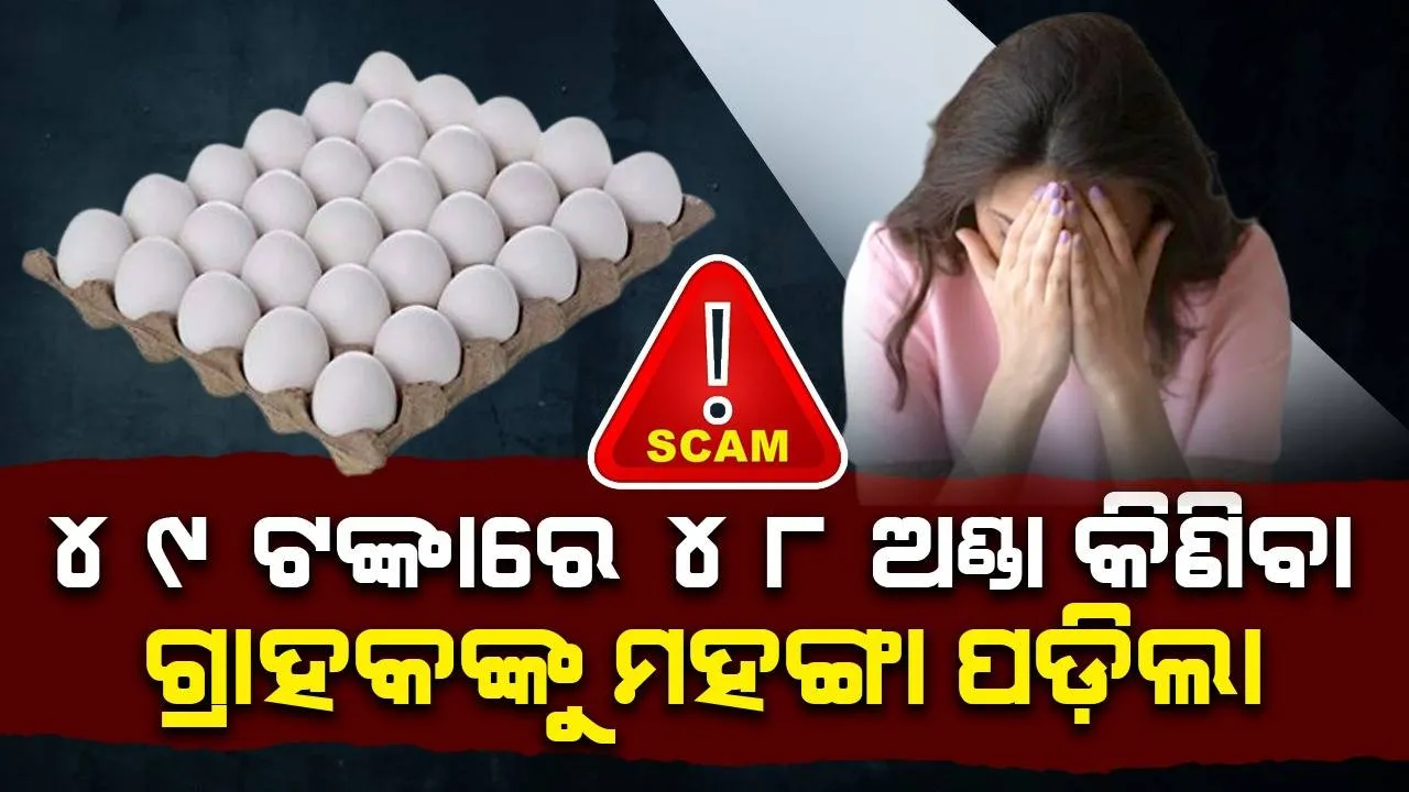  ୪୮ଟି ଅଣ୍ଡା ପାଇଁ ଆକାଉଣ୍ଟରୁ ଗଲା ୪୮ହଜାର ଟଙ୍କା