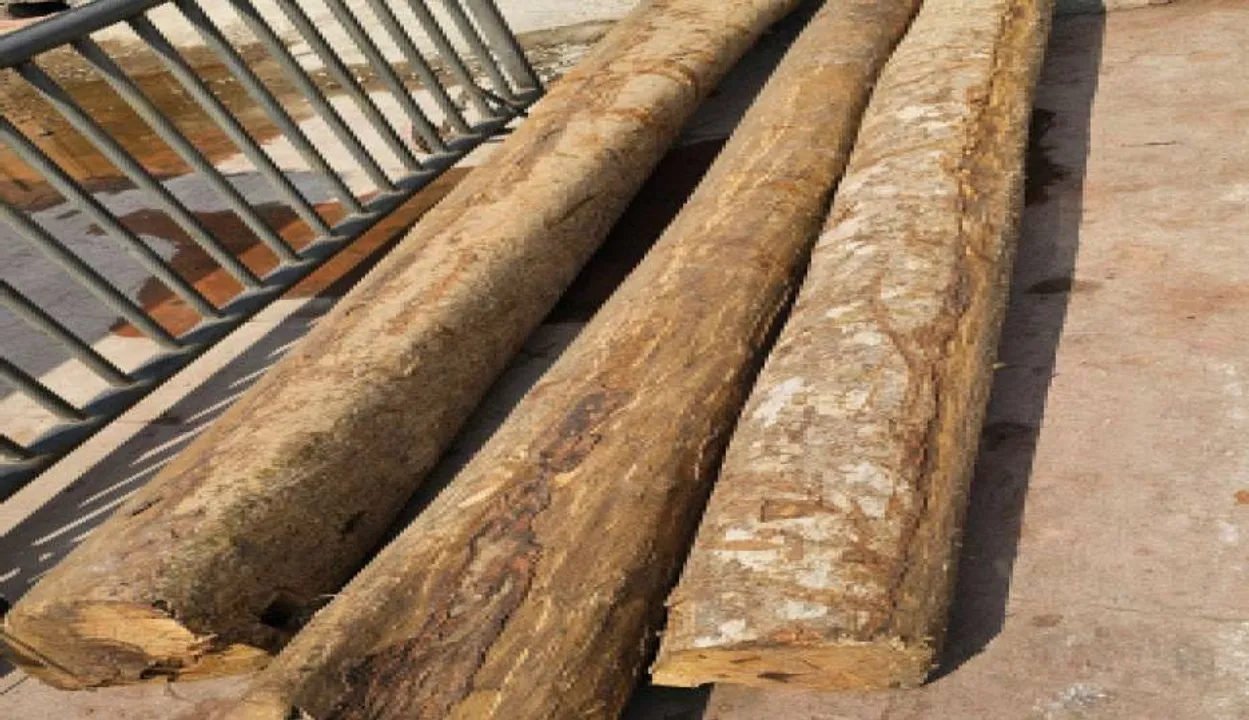  ଆଜି ରଥକାଠ ଅନୁକୂଳ